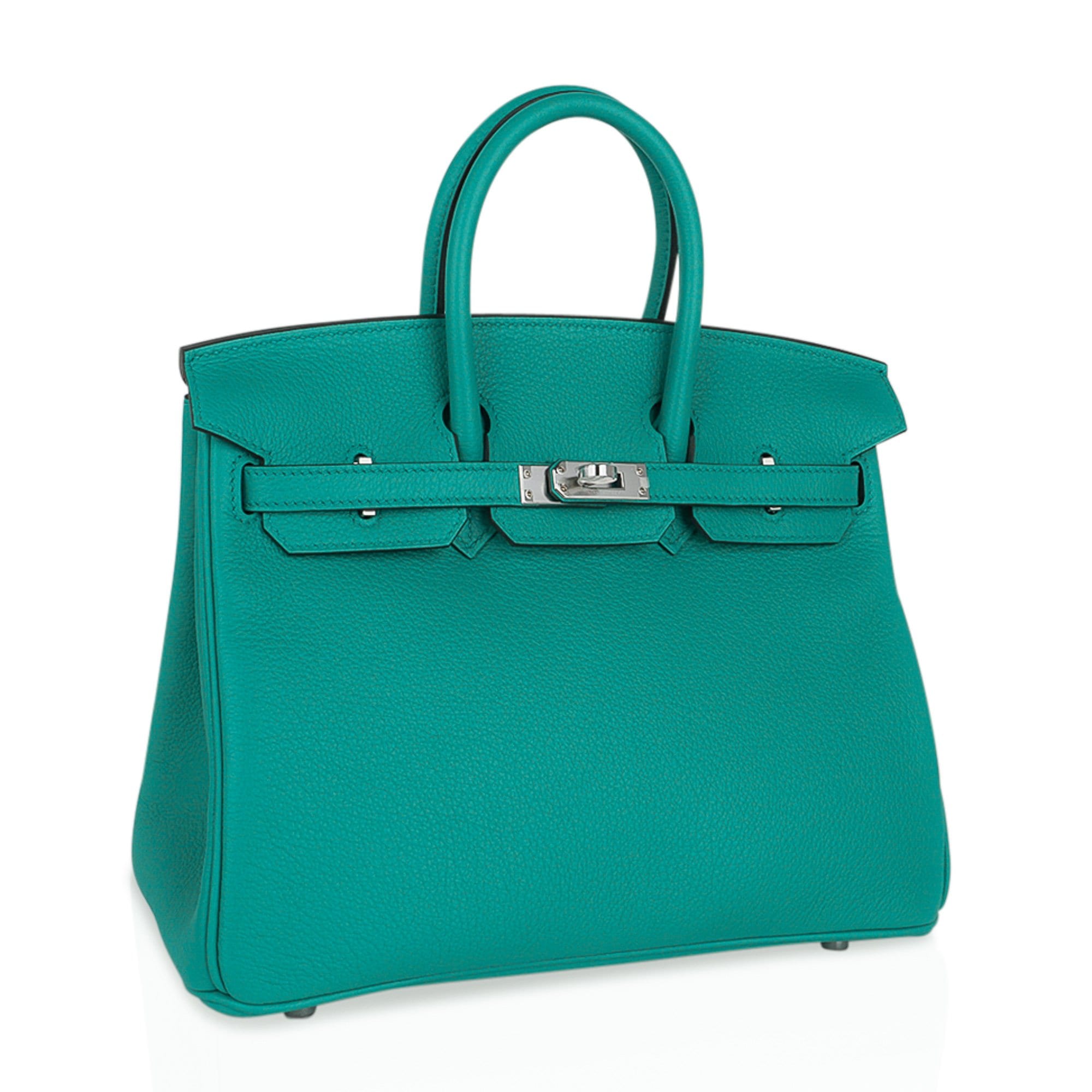 Verso Birkin 25 Bag Vert Verone & Rose Lipstick Novillo Leather with Palladium Hardware