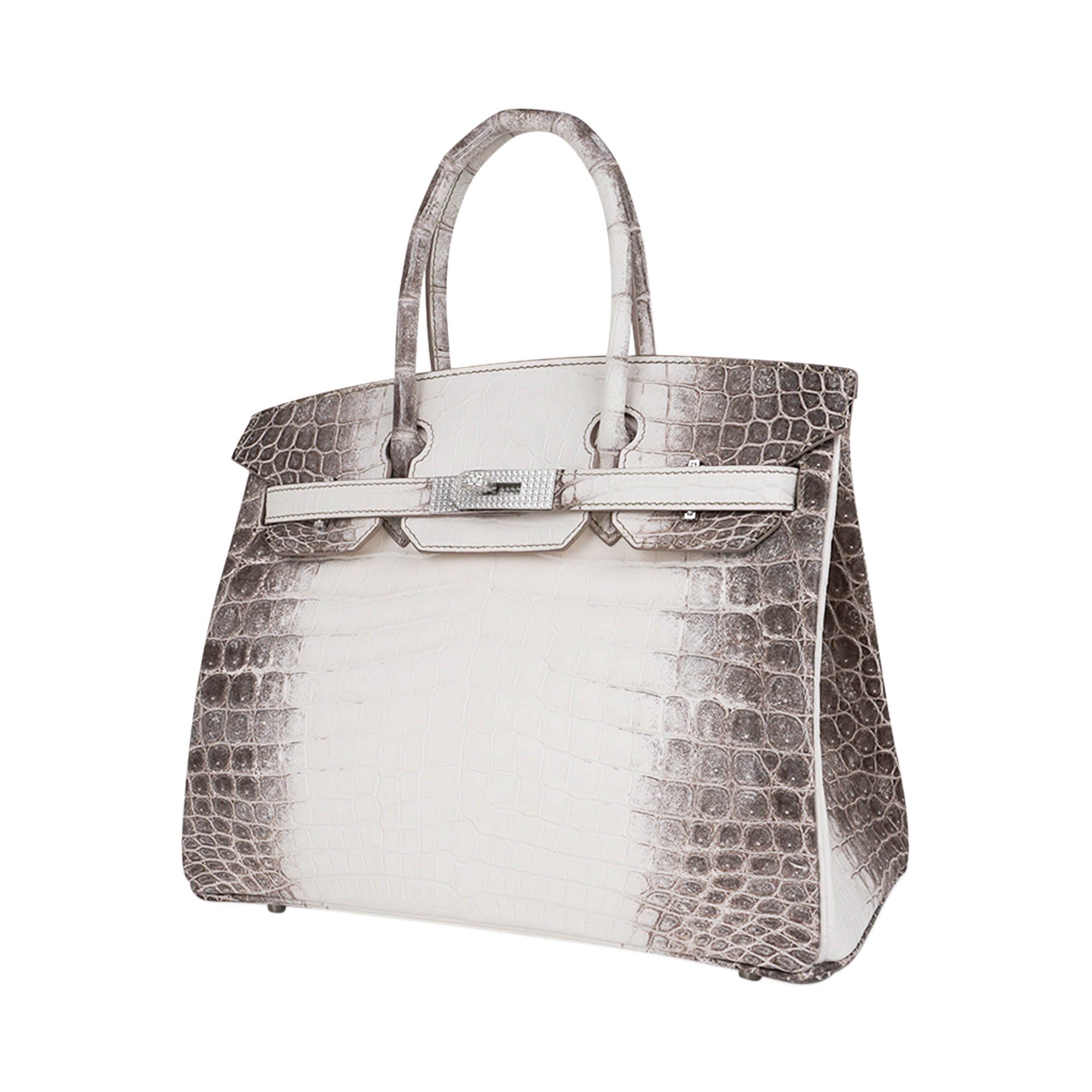 Birkin 30 Bag Diamond Himalaya Blanc Matte Niloticus Crocodile with 18k White Gold Hardware
