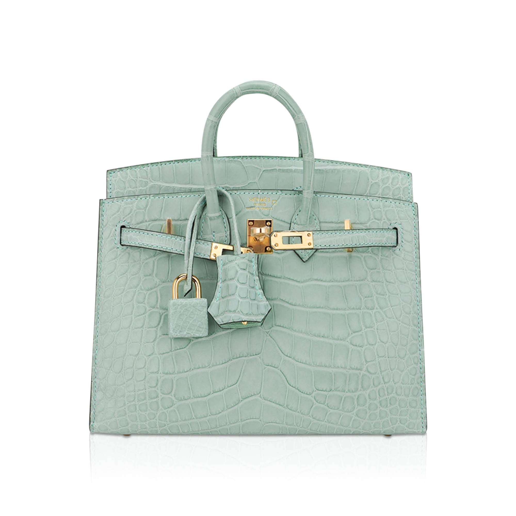 Limited Edition Birkin 20 Sellier Bag Vert D’Eau Matte Alligator with Gold Hardware
